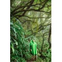 Sea to Summit Poncho Tarp Nylon 70D Regencape - Poncho Tarp 2 in 1