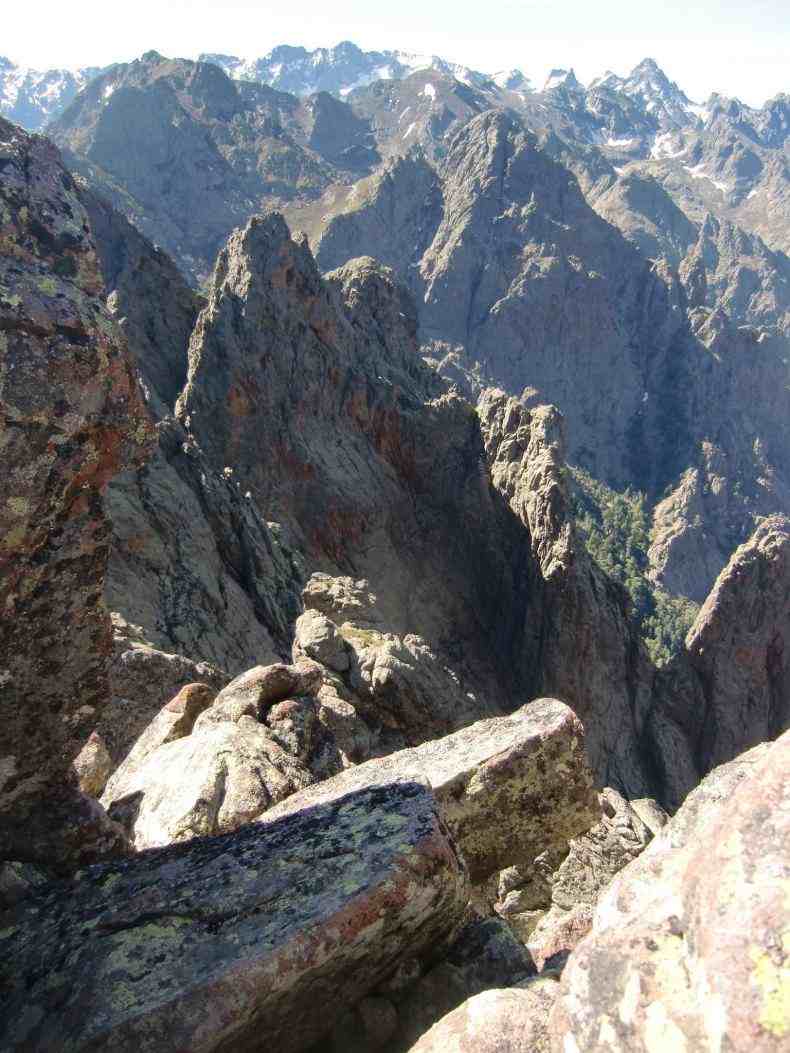 CIMG9243.jpg
