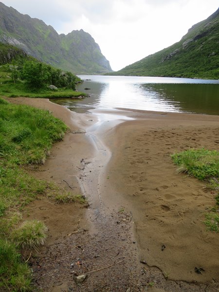 Bushcraft, Survie : avoir toujours de l'eau potable